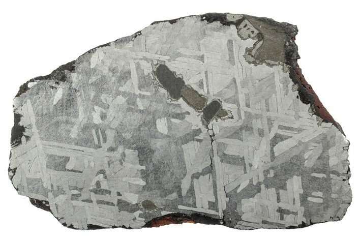 Etched Toluca Iron Meteorite ( g) Slice - Mexico #346511